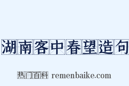 湖南客中春望造句是什么意思的图片